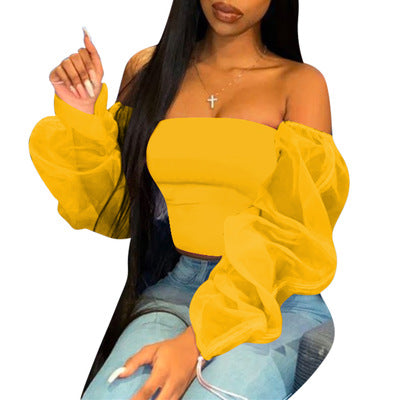 Royal Aura Mesh Top